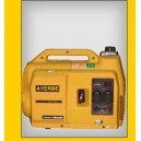 Grupo electr&oacute;geno 1000 INS