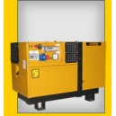 Grupo electr&oacute;geno 10000 D INS TX